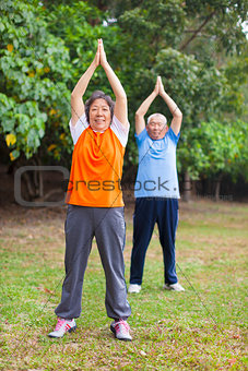 Senior couple doing exercise in the park.