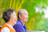 happy asian seniors in the park