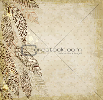 Decorative background with feathers