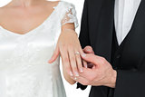 Bride and groom showing wedding ring against white background