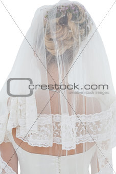 Rear view of bride in veil