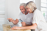 Happy mature couple doing online shopping at home