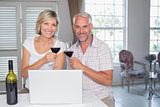 Mature couple toasting wine glasses at home