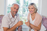 Happy mature couple with wine glasses at home