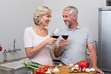 Mature couple toasting wine glasses in kitchen