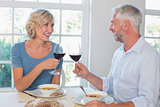 Happy mature couple toasting wine glasses over food