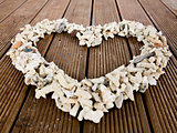 Seashells in the shape of a heart