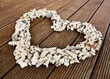 Seashells on plank wood