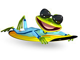green frog on a surfboard