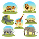 African animals iwith graphic backgrounds. 