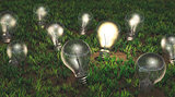 Cultivation of ideas