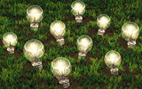 Cultivation of lit light bulbs