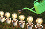 Row of light bulbs in pots is watered