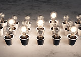 Rows of light bulbs