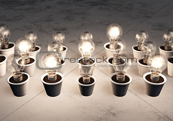 Rows of light bulbs