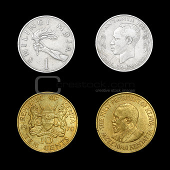 Set of African coins