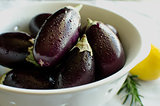 Indian Eggplant