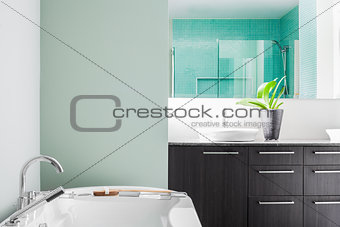 Modern Bathroom using soft Green Pastel Colors