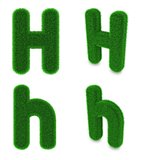 Letter H made of grass