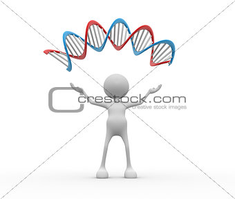 DNA structure. 