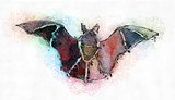 Bat painting