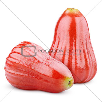 Rose apples or chomphu isolated on white