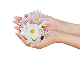 female hands with flower