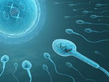 DNA Sperm