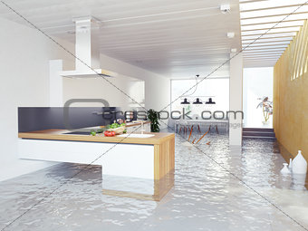 flooding kitchen