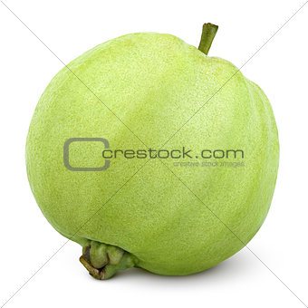 Single green guava isolated on white