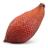 Salak snake fruit