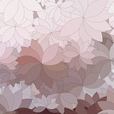 background of the abstract flowers and petal