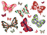 Six different butterflies with Celtic ornament