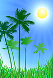 palm trees green background