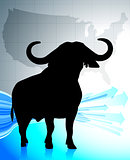 Bull on United States background