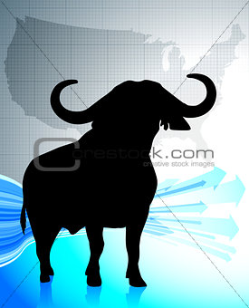 Bull on United States background