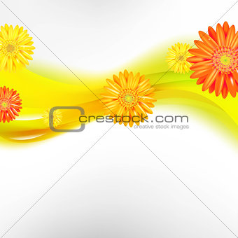 Abstract Background With Color Gerbers Flowers