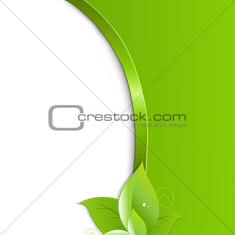 Green Ecology Background With Leaves