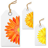 Sale Tags With Gerbers
