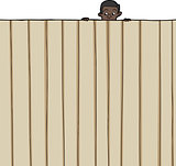 Child Looking Over Fence