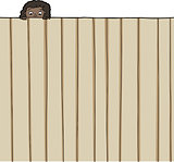 Girl Looking Over Fence