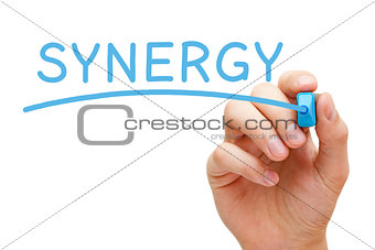 Synergy Blue Marker