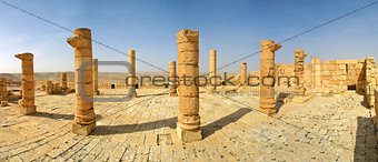 Ancient ruins of town of Avdat in Israel.