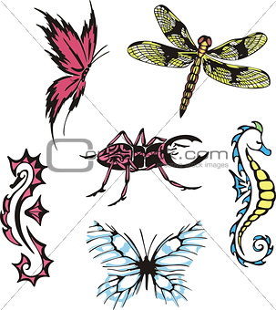 miscellaneous insects and sea horses