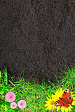 Nature background with green grass and soil
