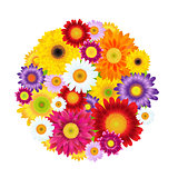 Colorful Gerbers Flowers Ball