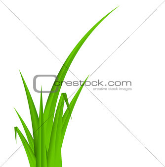Summer Abstract Background with Grass. Vector Illustration.