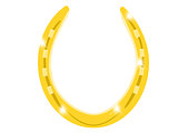 Gold shinny horseshoe