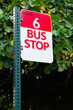 Bus Stop Route 6 Public Transit Downtown City Transportation
