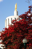 State Captial Salem Oregon Government Capital Building Downtown